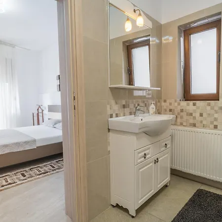 Cozy Near Victoriei Square - Berzei
